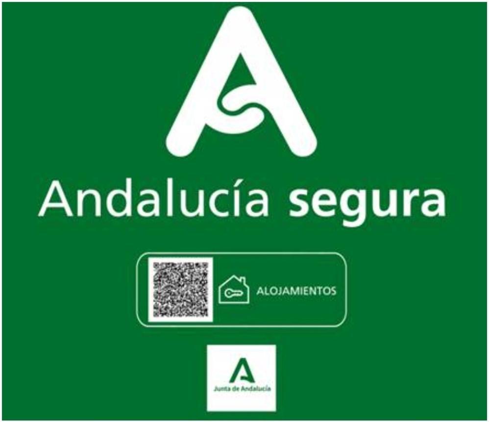 Todosierranevada Zona Baja - Edificio Alhambra - Junto A Los Telecabinas Sierra Nevada Buitenkant foto