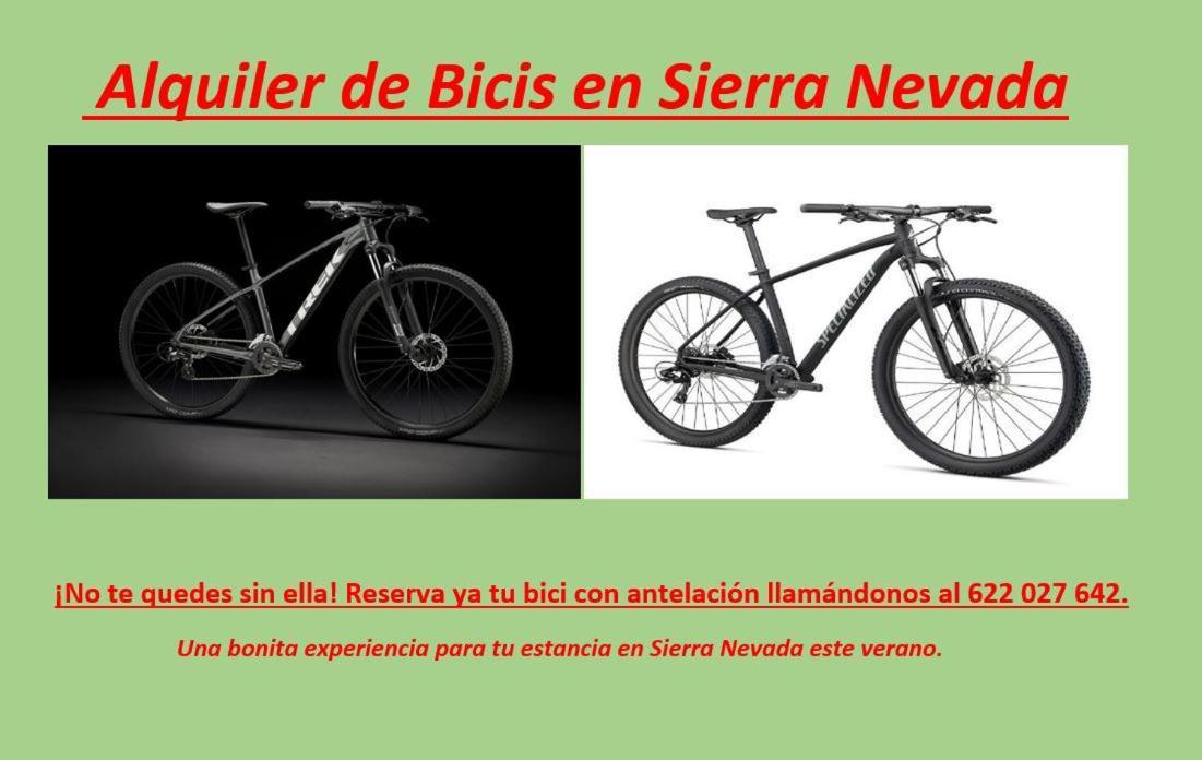 Todosierranevada Zona Baja - Edificio Alhambra - Junto A Los Telecabinas Sierra Nevada Buitenkant foto